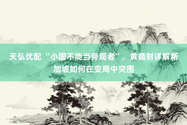 天弘优配 “小国不能当旁观者”，黄循财详解新加坡如何在变局中突围