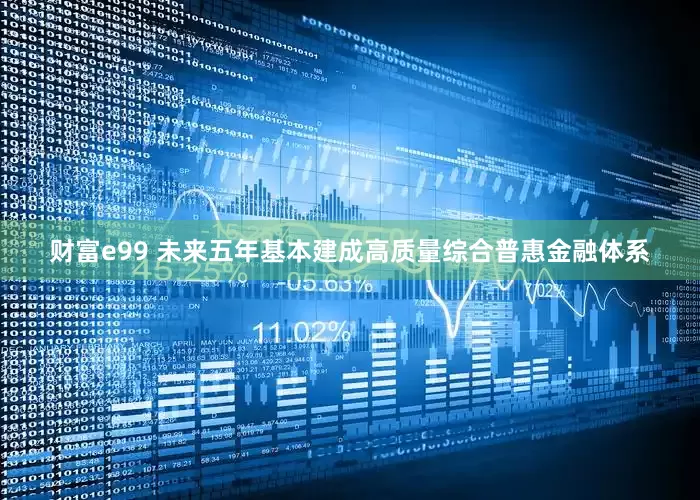 财富e99 未来五年基本建成高质量综合普惠金融体系