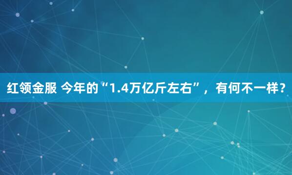 红领金服 今年的“1.4万亿斤左右”，有何不一样？