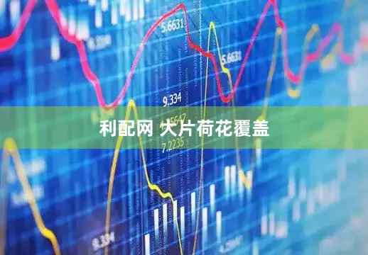 利配网 大片荷花覆盖